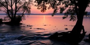 Sunset over peaceful water with trees in silhouette.