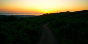 Serene landscape with a path at sunrise.