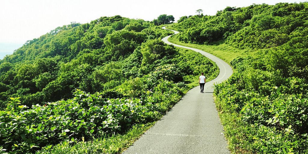 A person on a path in a serene landscape.